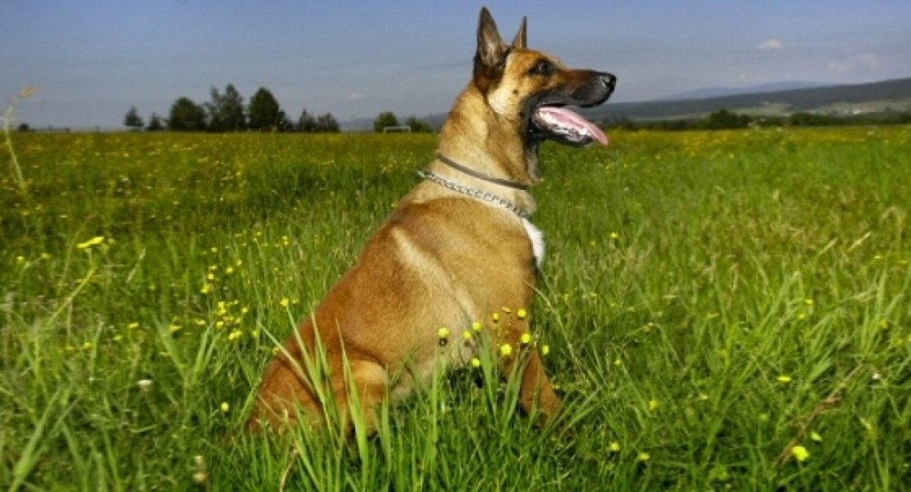 XKAcrPVj3X-o16i4eorf65bi10jbtikyz7gmpf22tk8615980dmxw